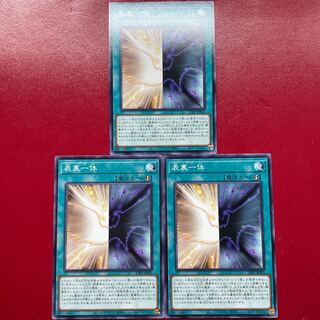 Adv 表裏一体 ノーマル 23PP-JP005