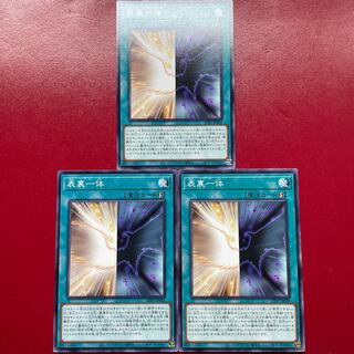 Qc Tk Vj 表裏一体 ノーマル 23PP-JP005