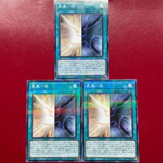 表裏一体 パラレル ノーマル 23PP-JP005