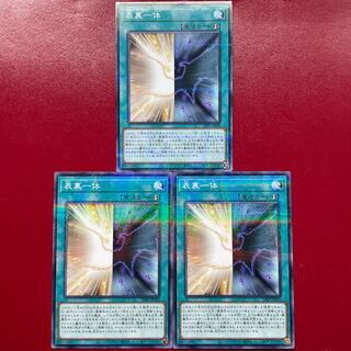 Front and back parallel Normal 23PP-JP005