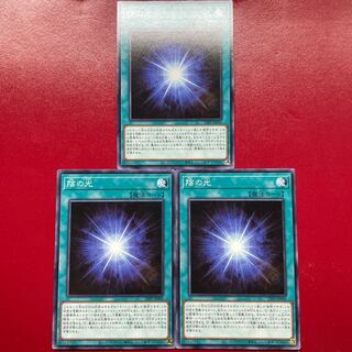 陰の光 ノーマル 23PP-JP006