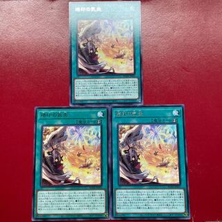 烙印の気炎 レア JP055