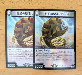 忍蛇の聖沌 c0br4 R 17/74