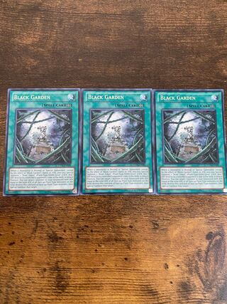 Black Garden English Rare