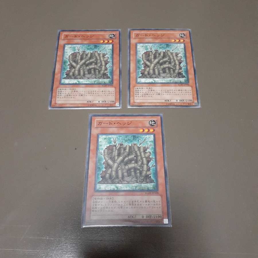 ガード･ヘッジ(N)