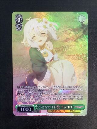 (Slight flaw) Small guiding role Coccolith OFR PRD/W84-028OFR