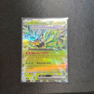 オーガポンみどりのめんex RR 016/101