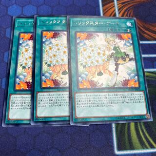 トリックスター・ブーケ レア JP055