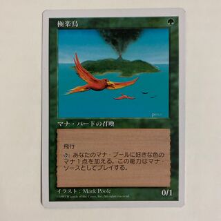 極楽鳥