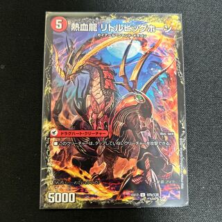 熱血剣 グリージーホーン｜熱血龍 リトルビッグホーン U 97a/138｜97b/138