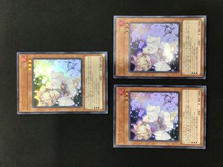 灰流うらら ウルトラ3枚セット