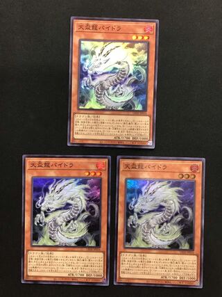天盃龍パイドラ スーパー3枚セット