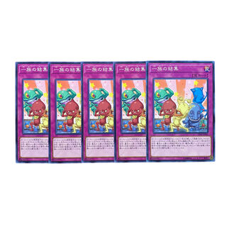 3761【遊戯王】一族の結集　5枚セット