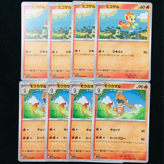 モウカザル C 016/066