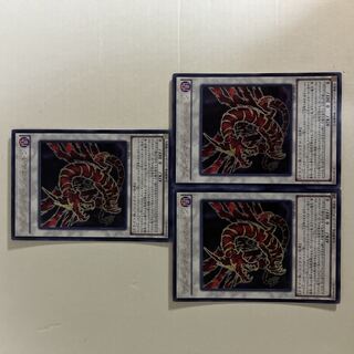 アルティマヤ・ツィオルキン