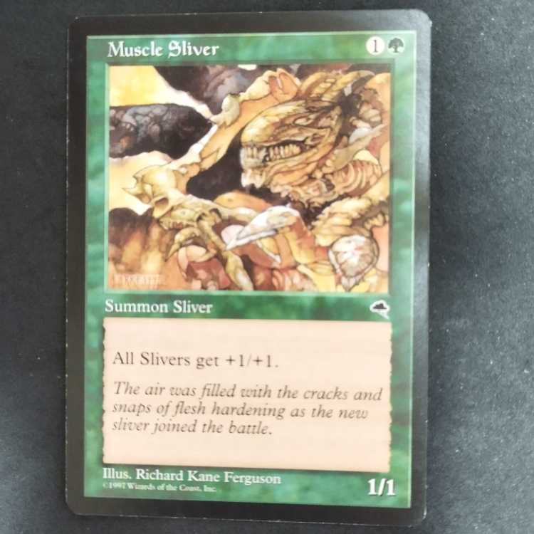 ★Muscle Sliver 1枚