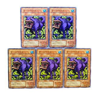 3775【遊戯王】ラージマウス　5枚セット