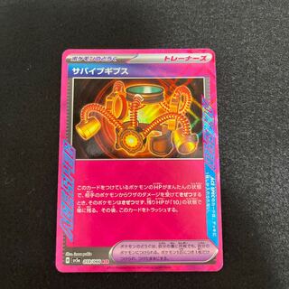 Survive Gips ACE 059/066