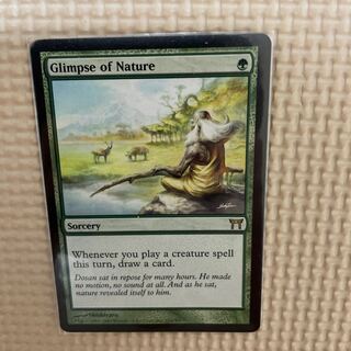 Glimpse of Nature English