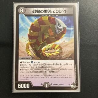 忍蛇の聖沌 c0br4 R 17/74