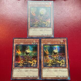 ローンファイア・ブロッサム シークレットレア JP002