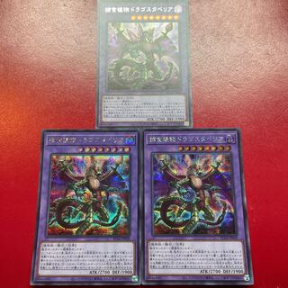 捕食植物ドラゴスタペリア」の激安通販 | magi