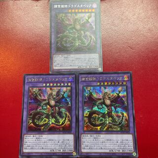 捕食植物ドラゴスタペリア」の激安通販 | magi