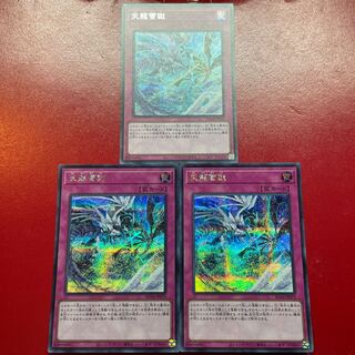 天龍雪獄 シークレットレア JP079