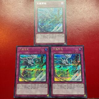 天龍雪獄 シークレットレア JP079