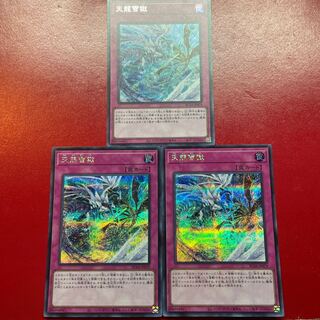 天龍雪獄 シークレットレア JP079