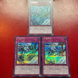 天龍雪獄 シークレットレア JP079