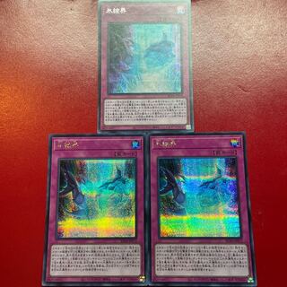 氷結界 シークレットレア JP072