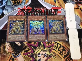 ワーム・キング デュエルターミナル 3枚セット てら