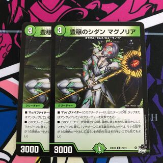 Sidan Magnolia C 70/74 in Abundance