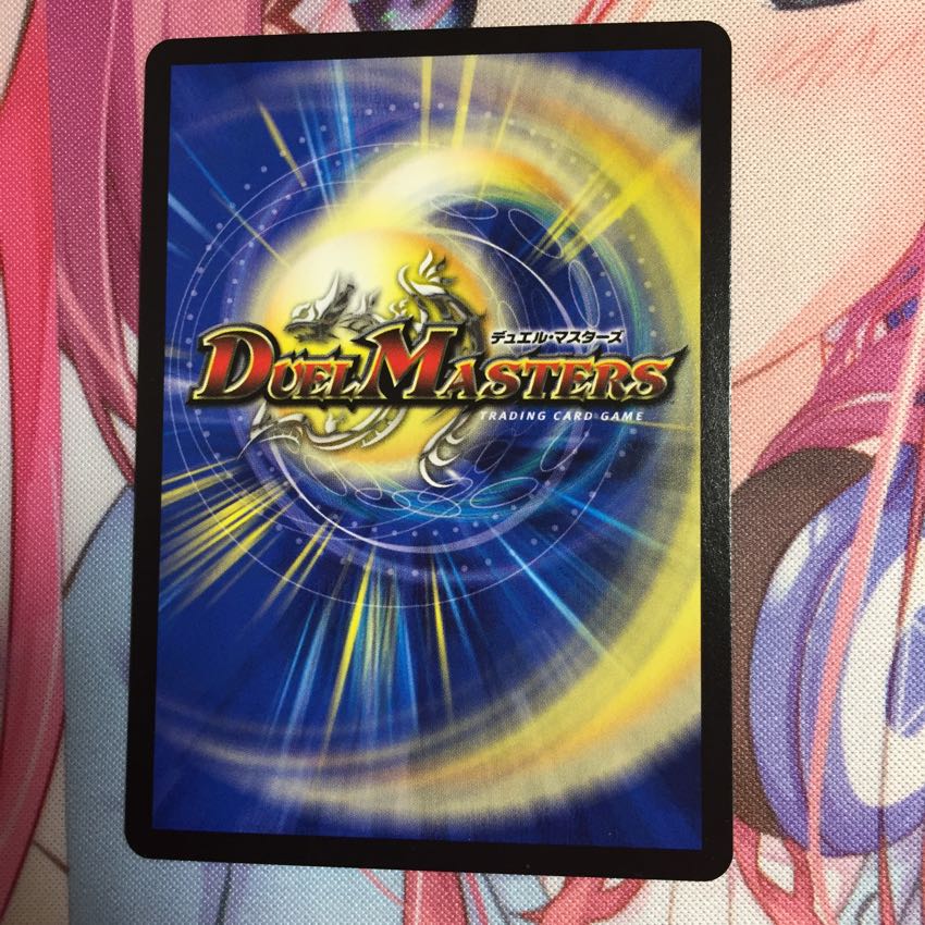 ザンジェットW7 1枚