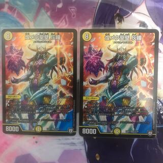 煌メク聖壁 灰瞳