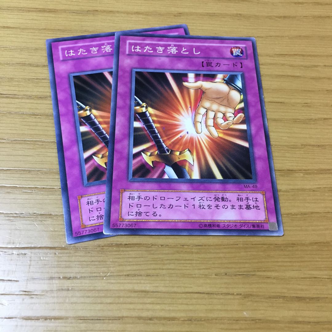 はたき落とし N 2点セット