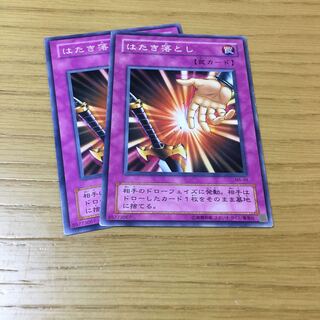 はたき落とし N 2点セット