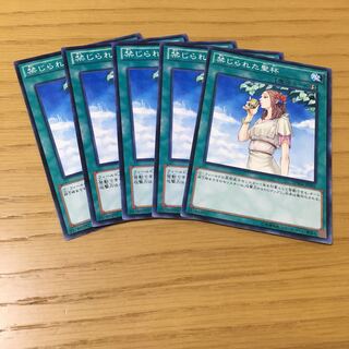 禁じられた聖杯 N 5点セット