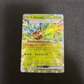 Ogapon Midori-no-men ex RR 016/101