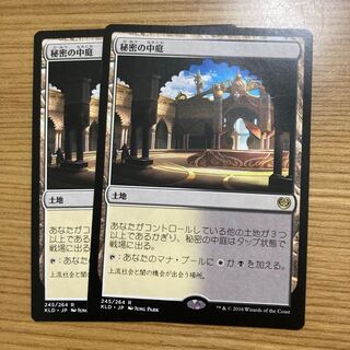 2 Concealed Courtyard