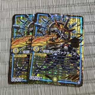 サヴァクティス 2枚セット