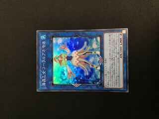 海晶乙女コーラルアネモネ スーパーレア JPB06