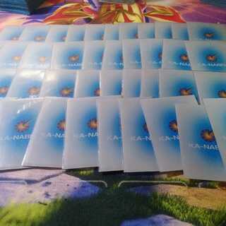 カーナベルスリーブ 水溜り 40枚