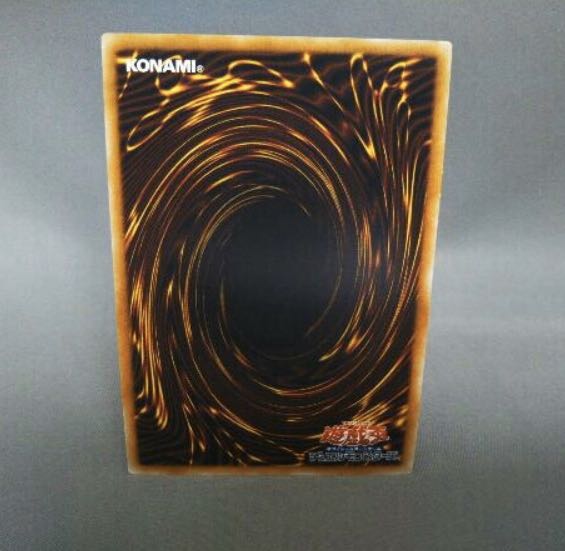 Number 64: Ronin Raccoon Sandayu SR