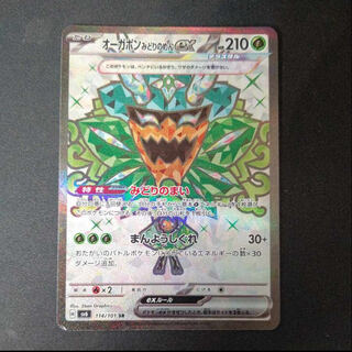 Ogapon Midori-no-men ex SR 114/101