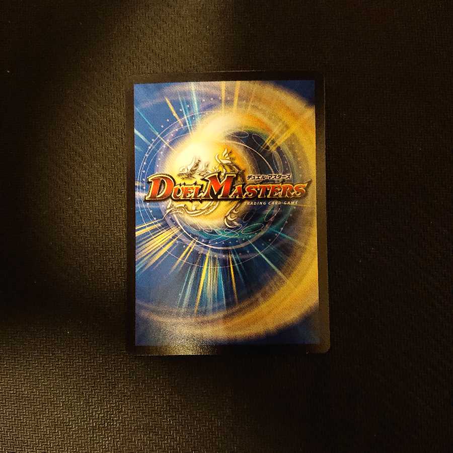 獰猛なる大地 ★ P46/Y12