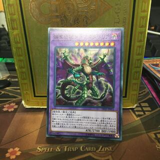 捕食植物ドラゴスタペリア 1枚 コメントから