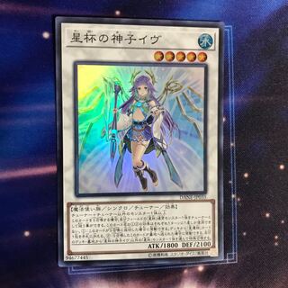 Ib the World Chalice Justiciar SR