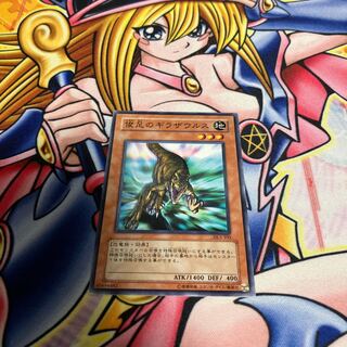 Gilasaurus with scratches